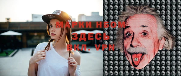 стаф Заводоуковск