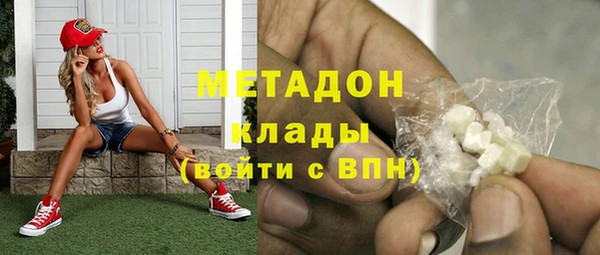 прущие грибы Осташков