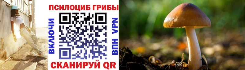 Псилоцибиновые грибы MAGIC MUSHROOMS  ОМГ ОМГ ONION  Дмитровск  хочу  